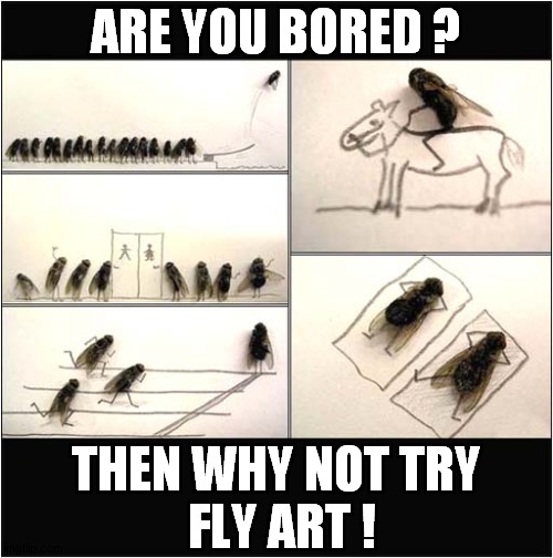Nothing To Do ? | ARE YOU BORED ? THEN WHY NOT TRY
 FLY ART ! | image tagged in bored,flies,art | made w/ Imgflip meme maker