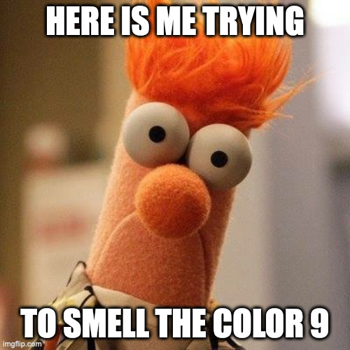 Beeker | HERE IS ME TRYING; TO SMELL THE COLOR 9 | image tagged in beeker | made w/ Imgflip meme maker