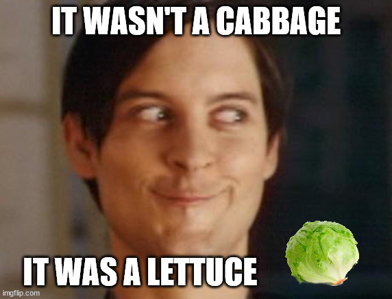 Spiderman Peter Parker Meme | IT WASN'T A CABBAGE IT WAS A LETTUCE | image tagged in memes,spiderman peter parker | made w/ Imgflip meme maker