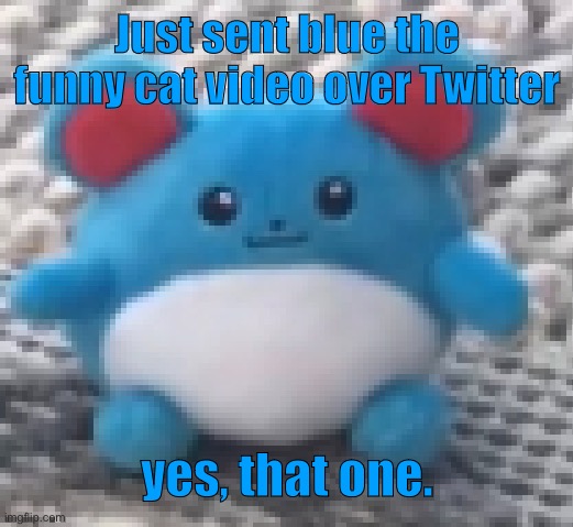 Marill 6 | Just sent blue the funny cat video over Twitter; yes, that one. | image tagged in marill 6 | made w/ Imgflip meme maker