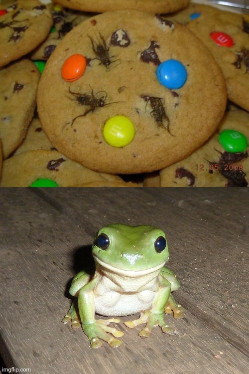 Meme #2,388 | image tagged in memes,cursed image,cursed,cookies,flies,frogs | made w/ Imgflip meme maker