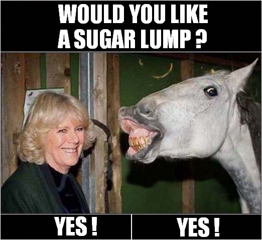 Spot The Difference ... | WOULD YOU LIKE A SUGAR LUMP ? YES ! YES ! | image tagged in spot the difference,camilla,horse,dark humour | made w/ Imgflip meme maker