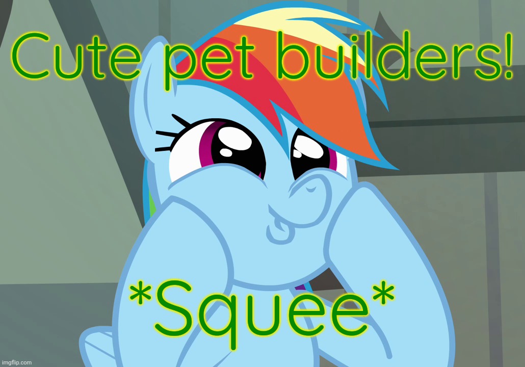 Dashface (MLP) | Cute pet builders! *Squee* | image tagged in dashface mlp | made w/ Imgflip meme maker