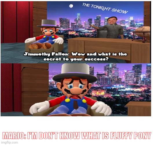 WHAT THE | MARIO: I'M DON'T KNOW WHAT IS FLUFFY PONY | image tagged in what is this | made w/ Imgflip meme maker
