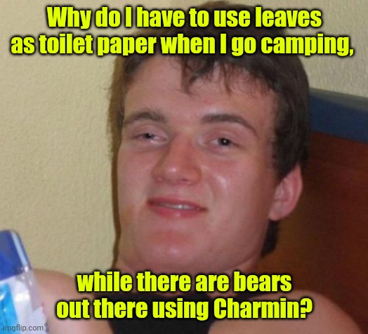 Doesn't make sense. | Why do I have to use leaves as toilet paper when I go camping, while there are bears out there using Charmin? | image tagged in memes,10 guy,funny | made w/ Imgflip meme maker