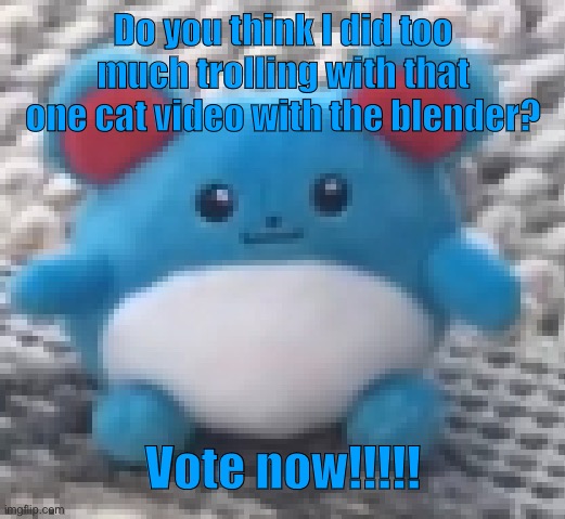 https://strawpoll.com/wby5AN8N8yA | Do you think I did too much trolling with that one cat video with the blender? Vote now!!!!! | image tagged in marill 6 | made w/ Imgflip meme maker