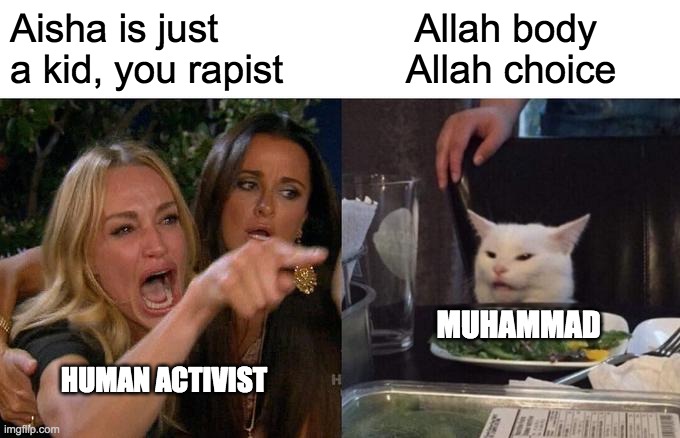 Woman Yelling At Cat Meme | Aisha is just a kid, you rapist; Allah body 
Allah choice; MUHAMMAD; HUMAN ACTIVIST | image tagged in memes,woman yelling at cat | made w/ Imgflip meme maker