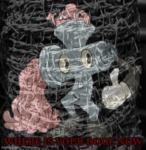 WHERE IS YOUR DOGE NOW | made w/ Imgflip meme maker