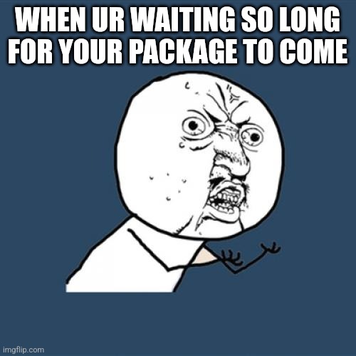 Y U No Meme | WHEN UR WAITING SO LONG FOR YOUR PACKAGE TO COME | image tagged in memes,y u no | made w/ Imgflip meme maker