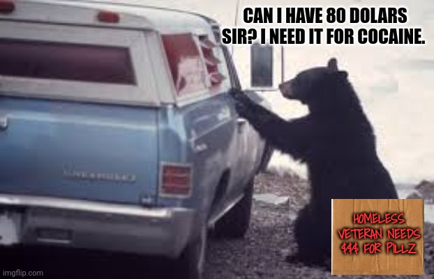 Detroit Bear lore | CAN I HAVE 80 DOLARS SIR? I NEED IT FOR COCAINE. HOMELESS VETERAN NEEDS $$$ FOR PILLZ | image tagged in detroit,bear,lore | made w/ Imgflip meme maker