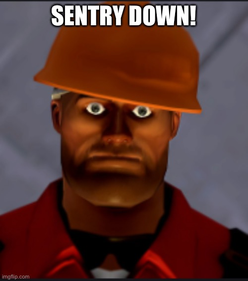 Engineer stare | SENTRY DOWN! | image tagged in engineer stare | made w/ Imgflip meme maker