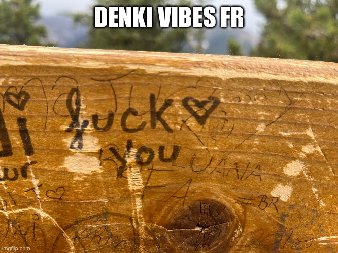 From Banff | DENKI VIBES FR | made w/ Imgflip meme maker
