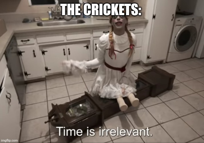 Time is irrelevant | THE CRICKETS: | image tagged in time is irrelevant | made w/ Imgflip meme maker