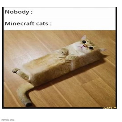 What? | image tagged in minecraft | made w/ Imgflip meme maker