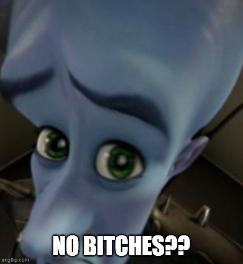 Megamind no bitches | NO BITCHES?? | image tagged in megamind no bitches | made w/ Imgflip meme maker