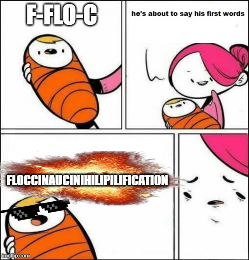YEET | F-FLO-C; FLOCCINAUCINIHILIPILIFICATION | image tagged in he is about to say his first words | made w/ Imgflip meme maker