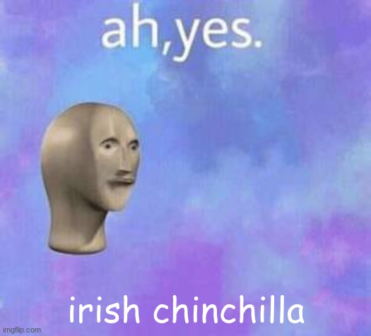 Ah yes | irish chinchilla | image tagged in ah yes | made w/ Imgflip meme maker