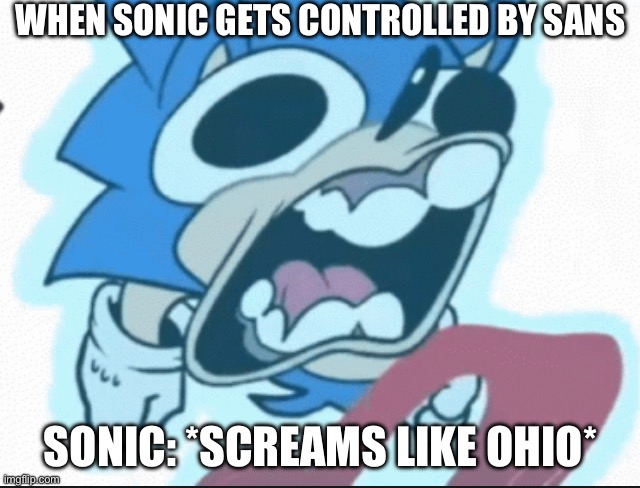 WHEN SONIC GETS CONTROLLED BY SANS; SONIC: *SCREAMS LIKE OHIO* | made w/ Imgflip meme maker