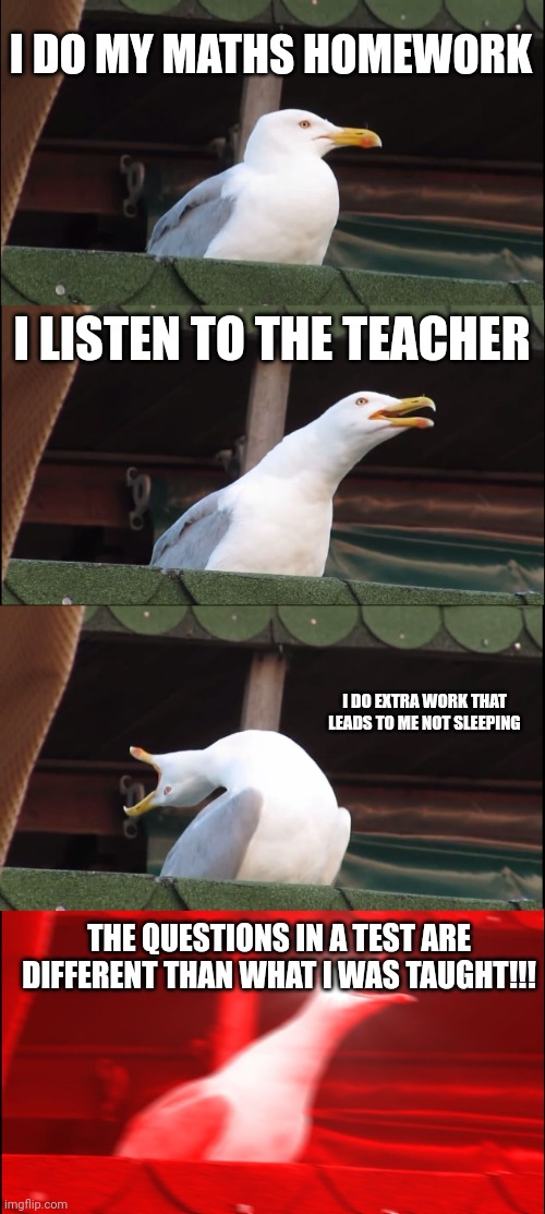 Inhaling Seagull | I DO MY MATHS HOMEWORK; I LISTEN TO THE TEACHER; I DO EXTRA WORK THAT LEADS TO ME NOT SLEEPING; THE QUESTIONS IN A TEST ARE DIFFERENT THAN WHAT I WAS TAUGHT!!! | image tagged in memes,inhaling seagull | made w/ Imgflip meme maker