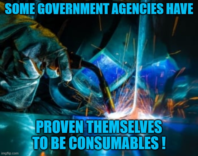 Consumable | SOME GOVERNMENT AGENCIES HAVE; PROVEN THEMSELVES TO BE CONSUMABLES ! | image tagged in consumables,fbi,doj,atf,cia,secure the border | made w/ Imgflip meme maker