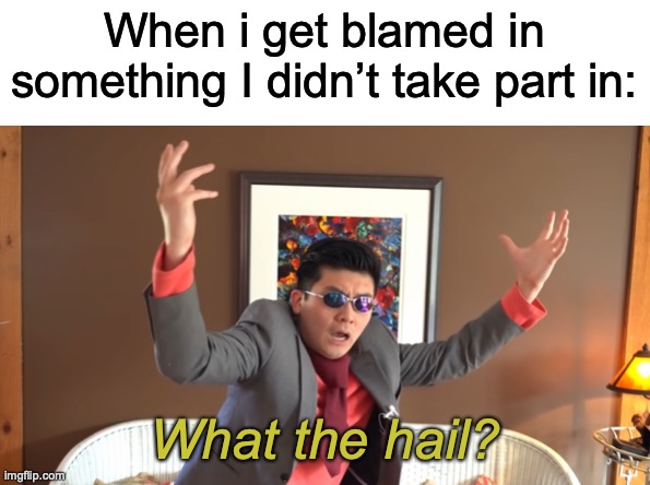 Its annoying on a spiritual level | When i get blamed in something I didn’t take part in:; What the hail? | image tagged in what the hail | made w/ Imgflip meme maker