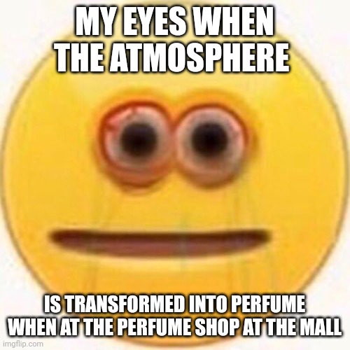 The very air is perfume!!! | MY EYES WHEN THE ATMOSPHERE; IS TRANSFORMED INTO PERFUME WHEN AT THE PERFUME SHOP AT THE MALL | image tagged in cursed emoji | made w/ Imgflip meme maker