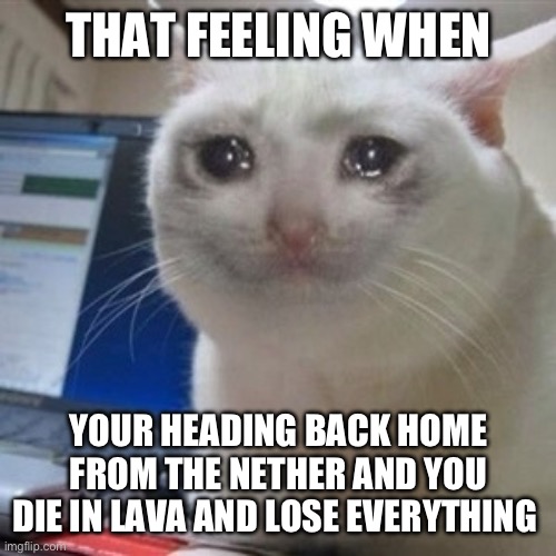 We’ve all been through this before | THAT FEELING WHEN; YOUR HEADING BACK HOME FROM THE NETHER AND YOU DIE IN LAVA AND LOSE EVERYTHING | image tagged in crying cat,minecraft | made w/ Imgflip meme maker