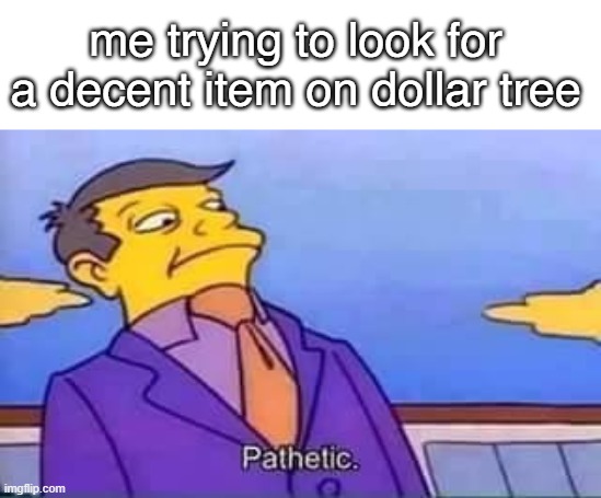 Finding Dollar Items | me trying to look for a decent item on dollar tree | image tagged in skinner pathetic | made w/ Imgflip meme maker