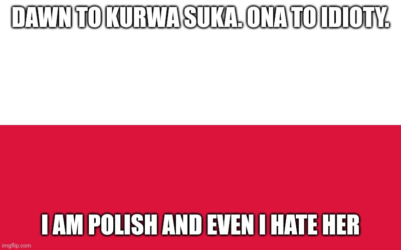 poland flag | DAWN TO KURWA SUKA. ONA TO IDIOTY. I AM POLISH AND EVEN I HATE HER | image tagged in poland flag | made w/ Imgflip meme maker