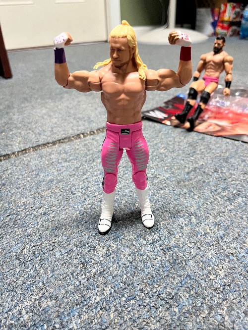 After months of collection action figures, I FINALLY found my favorite one: Dolph Ziggler | made w/ Imgflip meme maker