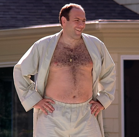 High Quality Tony Soprano shirtless Blank Meme Template