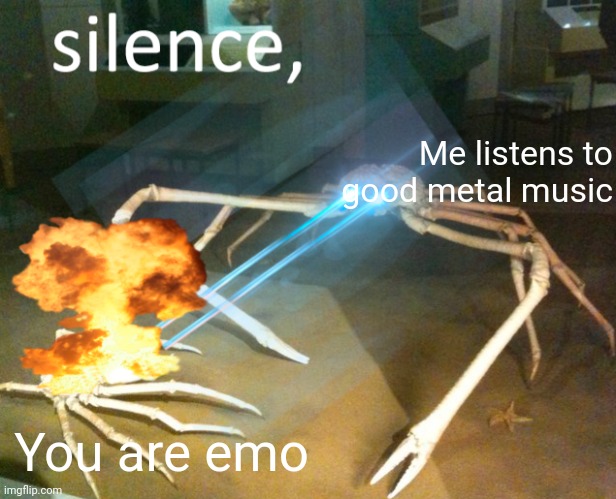 Even metalheads hate Emos | Me listens to good metal music; You are emo | image tagged in silence crab,heavy metal | made w/ Imgflip meme maker