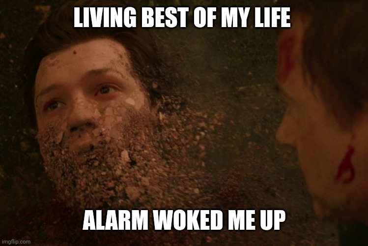 Spiderman getting Thanos snapped | LIVING BEST OF MY LIFE; ALARM WOKED ME UP | image tagged in spiderman getting thanos snapped | made w/ Imgflip meme maker