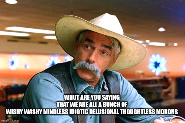 sam elliott the big lebowski | WHUT ARE YOU SAYING 
THAT WE ARE ALL A BUNCH OF 
WISHY WASHY MINDLESS IDIOTIC DELUSIONAL THOUGHTLESS MORONS | image tagged in sam elliott the big lebowski | made w/ Imgflip meme maker