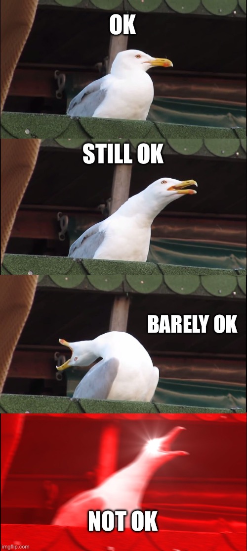 Inhaling Seagull | OK; STILL OK; BARELY OK; NOT OK | image tagged in memes,inhaling seagull | made w/ Imgflip meme maker