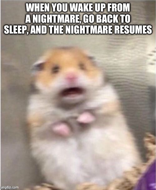 Why? Just why? | WHEN YOU WAKE UP FROM A NIGHTMARE, GO BACK TO SLEEP, AND THE NIGHTMARE RESUMES | image tagged in scared hamster | made w/ Imgflip meme maker