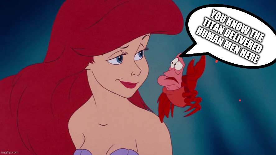 Skeptical Ariel | YOU KNOW THE TITAN DELIVERED HUMAN MEN HERE | image tagged in skeptical ariel | made w/ Imgflip meme maker