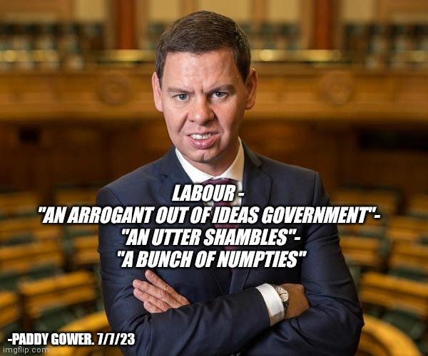 Paddy Gower | LABOUR - 
"AN ARROGANT OUT OF IDEAS GOVERNMENT"- 
"AN UTTER SHAMBLES"-
"A BUNCH OF NUMPTIES"; -PADDY GOWER. 7/7/23 | image tagged in new zealand,labour party,leftists | made w/ Imgflip meme maker