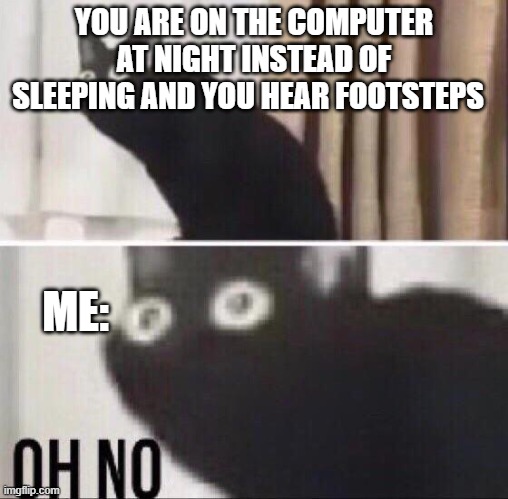 Oh no cat | YOU ARE ON THE COMPUTER AT NIGHT INSTEAD OF SLEEPING AND YOU HEAR FOOTSTEPS; ME: | image tagged in oh no cat | made w/ Imgflip meme maker