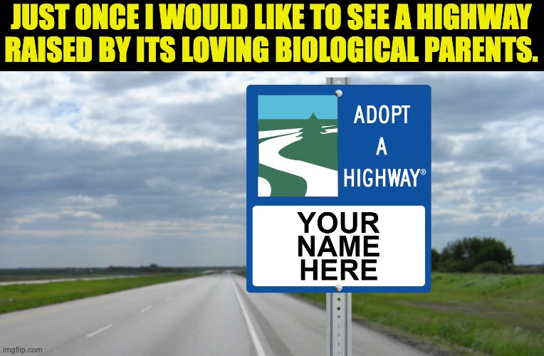 Adopted | JUST ONCE I WOULD LIKE TO SEE A HIGHWAY RAISED BY ITS LOVING BIOLOGICAL PARENTS. | image tagged in dad joke | made w/ Imgflip meme maker