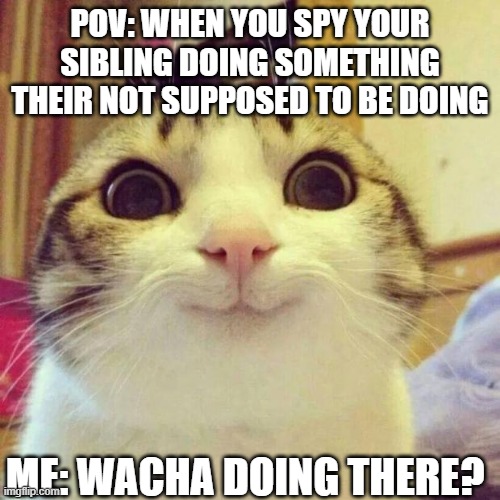 Smiling Cat Meme | POV: WHEN YOU SPY YOUR SIBLING DOING SOMETHING THEIR NOT SUPPOSED TO BE DOING; ME: WACHA DOING THERE? | image tagged in memes,smiling cat | made w/ Imgflip meme maker