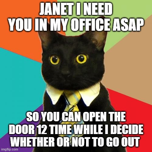 Business Cat | JANET I NEED YOU IN MY OFFICE ASAP; SO YOU CAN OPEN THE DOOR 12 TIME WHILE I DECIDE WHETHER OR NOT TO GO OUT | image tagged in memes,business cat | made w/ Imgflip meme maker