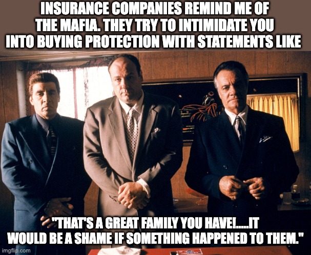 Insurance | INSURANCE COMPANIES REMIND ME OF THE MAFIA. THEY TRY TO INTIMIDATE YOU INTO BUYING PROTECTION WITH STATEMENTS LIKE; "THAT'S A GREAT FAMILY YOU HAVE!.....IT WOULD BE A SHAME IF SOMETHING HAPPENED TO THEM." | image tagged in sopranos | made w/ Imgflip meme maker