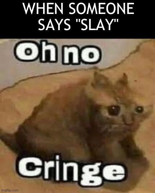 Don't be cringey | WHEN SOMEONE SAYS "SLAY" | image tagged in oh no cringe,memes,funny,cringe,cringe worthy | made w/ Imgflip meme maker