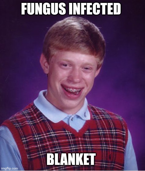 Fungus infected blanket | FUNGUS INFECTED; BLANKET | image tagged in memes,bad luck brian | made w/ Imgflip meme maker