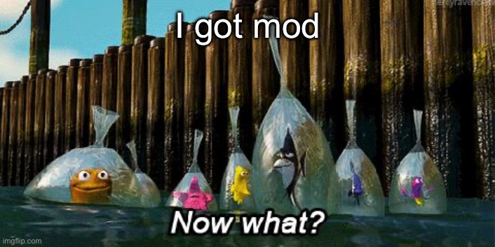 Now What? | I got mod | image tagged in now what | made w/ Imgflip meme maker