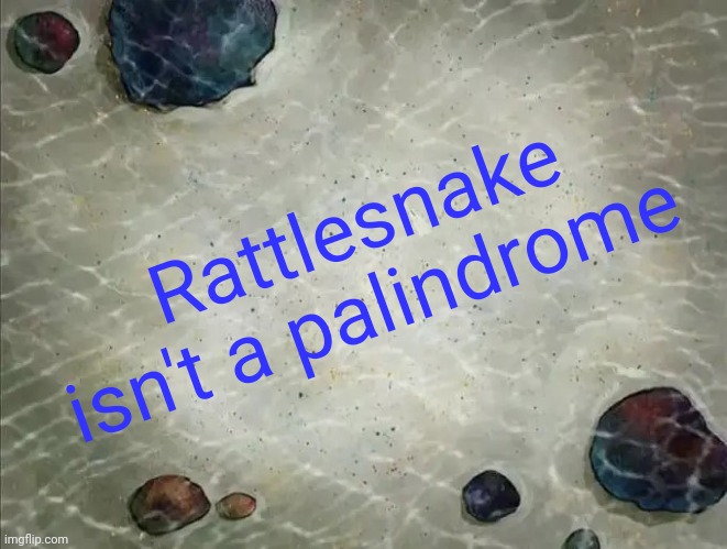 Rattlesnake isn't a palindrome | Rattlesnake isn't a palindrome | image tagged in spongebob thing | made w/ Imgflip meme maker