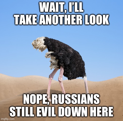 Ostrich | WAIT, I’LL TAKE ANOTHER LOOK; NOPE, RUSSIANS STILL EVIL DOWN HERE | image tagged in ostrich | made w/ Imgflip meme maker