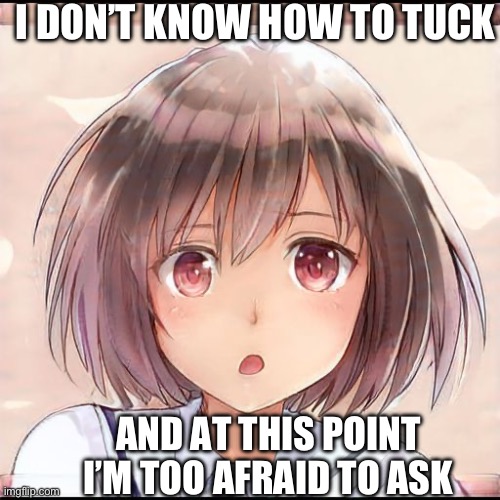 Anime Worried | I DON’T KNOW HOW TO TUCK; AND AT THIS POINT I’M TOO AFRAID TO ASK | image tagged in anime worried | made w/ Imgflip meme maker