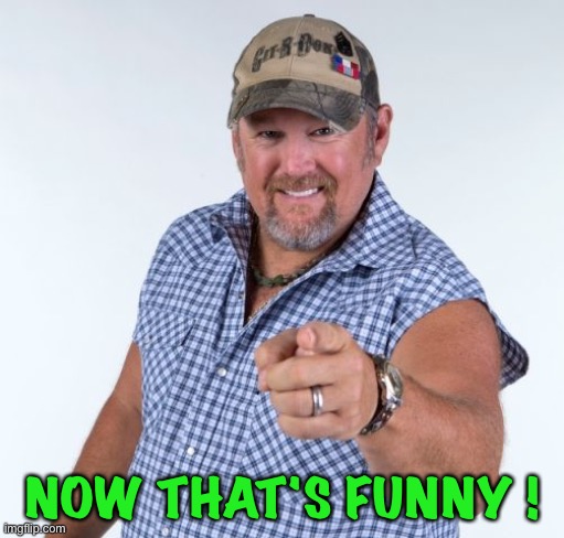 Larry the Cable Guy | NOW THAT'S FUNNY ! | image tagged in larry the cable guy | made w/ Imgflip meme maker